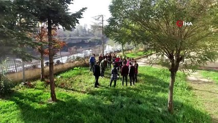 Öğretmen ödev verdi, öğrenciler 500 meyve fidanı dikti