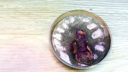 Experiment involving iodine and water creates colourful chemical reaction