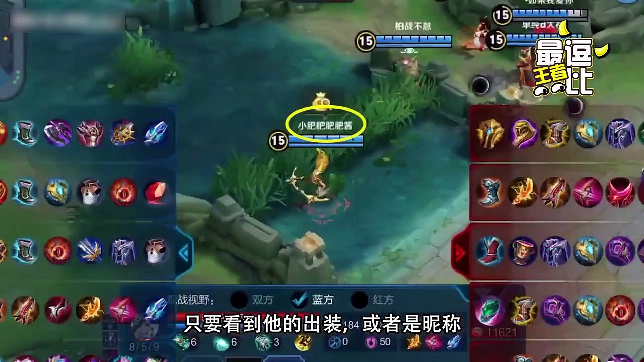 王者最逗比：这位是不是投错区了，这明明是万博精彩操作视频啊