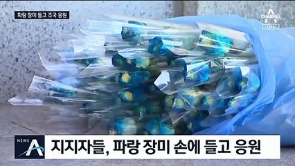 조국 소환 소식에…파랑 장미 들고 찾은 지지자들