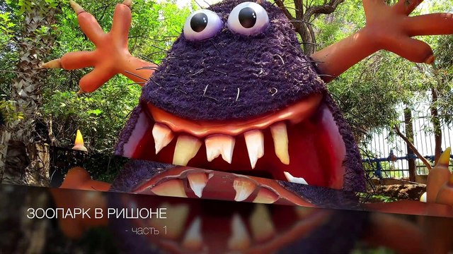 Зоопитомцы позируют. Зоопарк в Ришоне (часть 1)