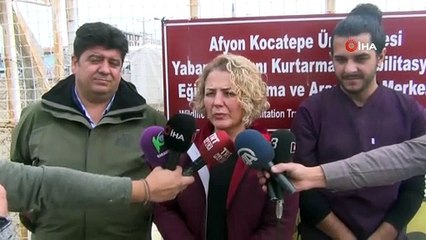 Tedavileri tamamlanan 3 kızıl geyik yavrusu üretim merkezine gönderildi