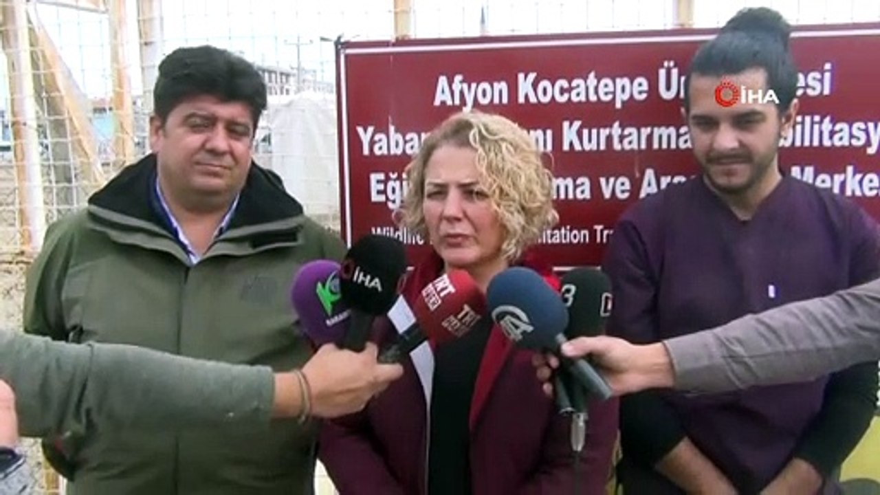 Tedavileri tamamlanan 3 kızıl geyik yavrusu üretim merkezine gönderildi