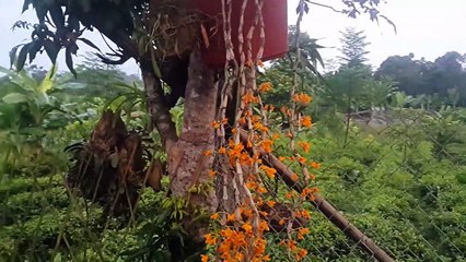 #9 CN Vlog | NHÀ SÀN BÊ TÔNG P2, LOẠI VẬT LIỆU MỚI KẾT HỢP BẢN SẮC DÂN TỘC