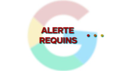 Un plongeur immortalise un requin, un détail va rendre la photo magique et totalement unique