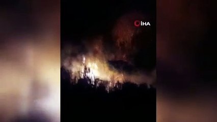 Düzce'deki orman yangınında 10 dönüm arazi küle döndü