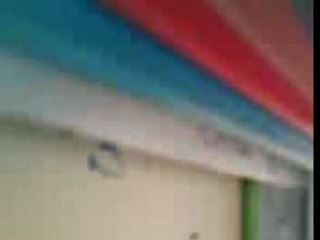 VID011