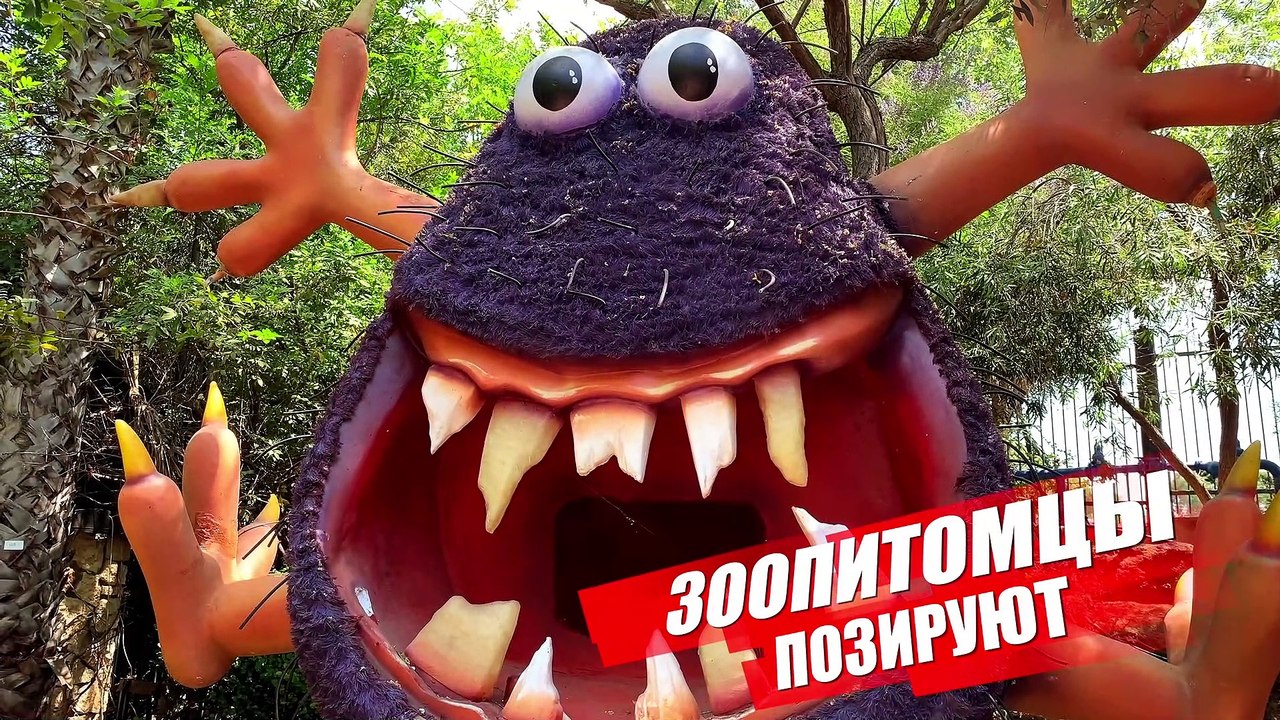 Зоопитомцы позируют. Зоопарк в Ришоне (часть 2)