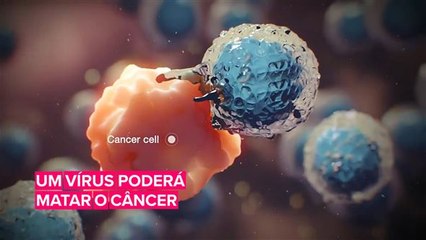 Cientistas descobrem vírus que pode matar qualquer tipo de câncer