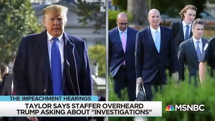Latest hearing surprise with new allegation against trump  .rachel maddow  MSNBC