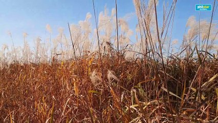 Haneul Park, a trash-to-treasure transformation