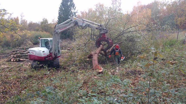 Maisieres. Des travaux pour protéger le bois près du Home Gilou. Vidéo Eric Ghislain