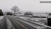 Entire countryside blanketed in first snow of season
