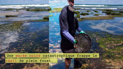 Marée noire au Brésil : "le pire est à venir"