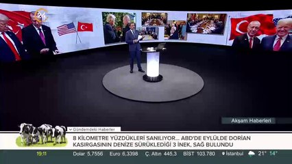 Erdoğan-Trump görüşmesi