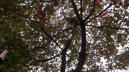 İntihara kalkışan vatandaş, Başkan Tören'in çabasıyla kurtarıldı