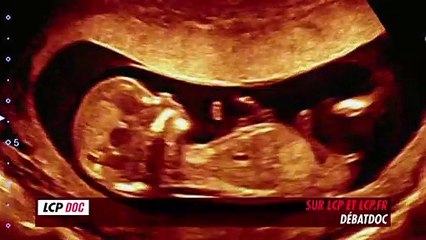 LCP BA DEBATDOC Les enfants du secret