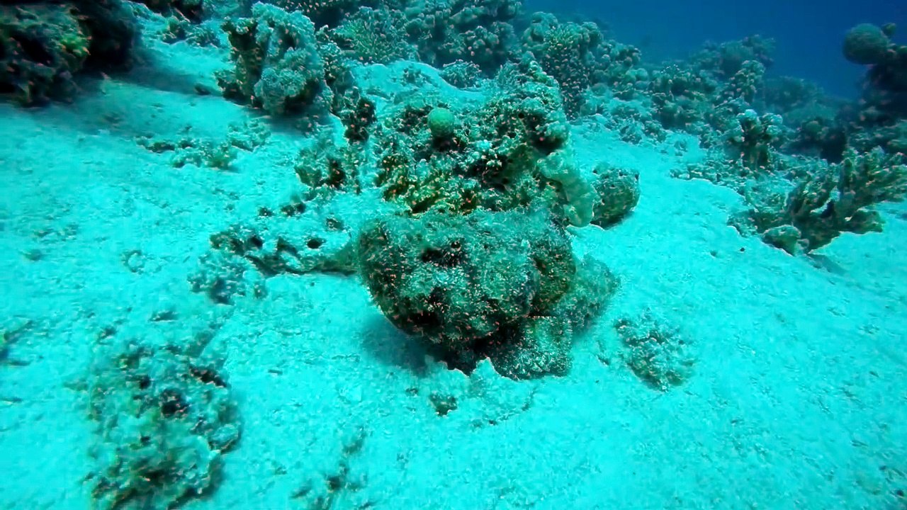 GOPR6932