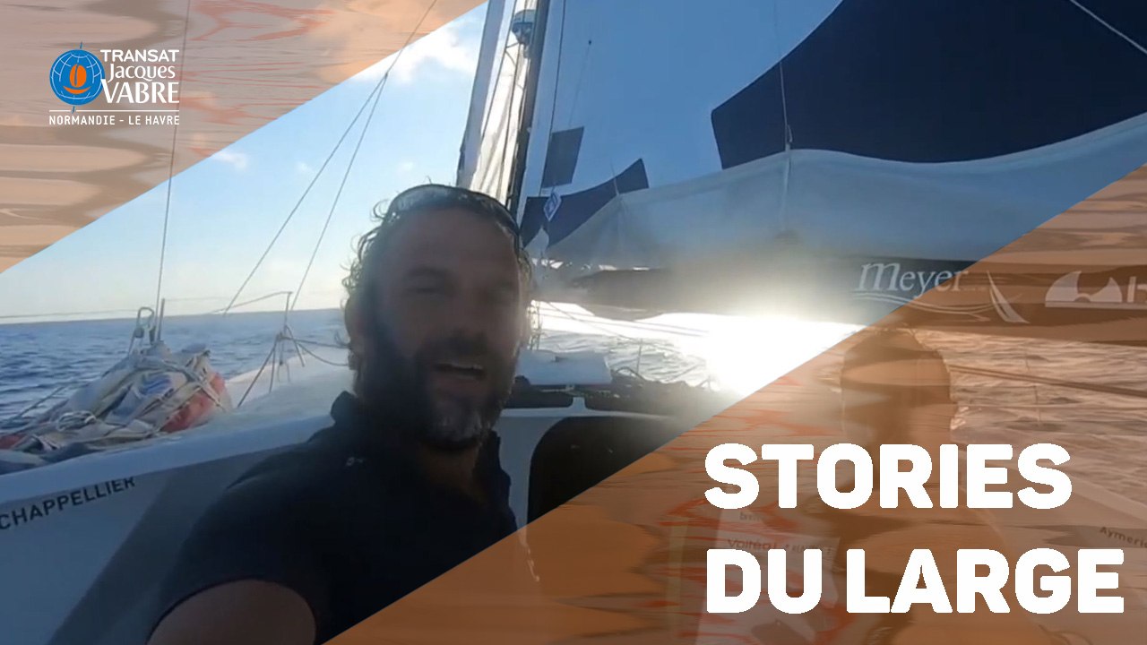 TRANSAT JACQUES VABRE - Les stories du large #Jour17 - 13/11/2019