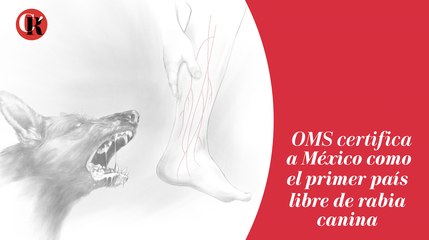 OMS certifica México como el primer país libre de rabia canina