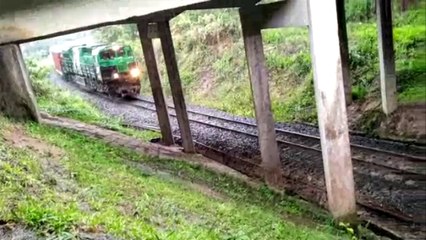 Vídeo: veículo esportivo recém-comprado sai da pista e cai entre viadutos, sendo atingido por trem