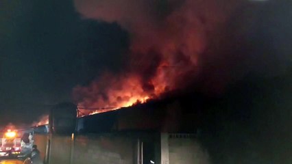 경북 청도 돼지농장 불...3,500마리 폐사 / YTN