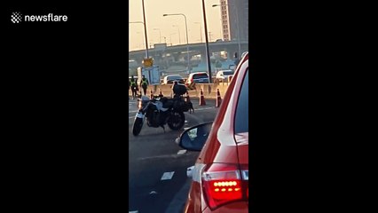 Runaway dog holds up traffic on motorway in Thailand