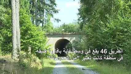 طريق سريع من الحقبة النازية يعاود الظهور في غابة ألمانية