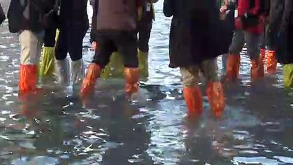 Estado de emergencia en Venecia por crecida de las aguas