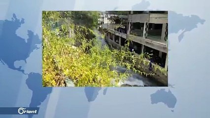 ميليشيا أسد تقطع الأشجار المثمرة في وادي بردى وتبيعها حطبا في المنطقة