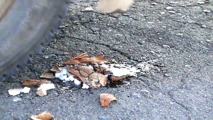 Crushing Crunchy and Soft Things by Car- - EXPERIMENT: WATERMELON VS CAR