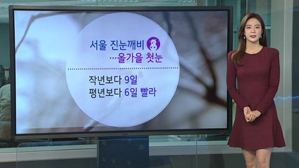 [날씨] 서울 올가을 첫눈...낮부터 추위 풀려 / YTN