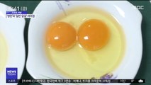 [스마트 리빙] '쌍란' 영양가도 풍부할까?