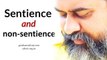 Acharya Prashant, on Vivekachudamani: What is sentience and non-sentience?