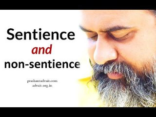 Acharya Prashant, on Vivekachudamani: What is sentience and non-sentience?