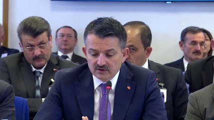 (TEKRAR) Pakdemirli: "Kırmızı et üretiminin 1,25 milyon ton olmasını hedefliyoruz"