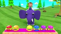 Colores para que los niños aprendan con dibujos animados Delfines Color Agua 3D Niños pequeños Bebés aprenden colores