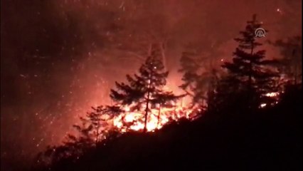 Arsuz'daki orman yangını kontrol altına alındı - HATAY