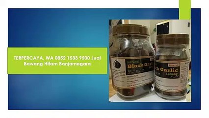 TERPERCAYA, WA 0852 1533 9500 Jual Bawang Hitam Banjarnegara
