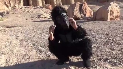 Kre-O Transformers Mystery bags, Micro changers.