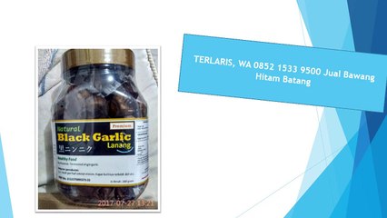 TERLARIS, WA 0852 1533 9500 Jual Bawang Hitam Batang