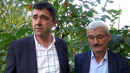(TEKRAR) Yazın 'Lapseki şeftalisi', kışın 'Trabzon hurması' üretiyorlar - ÇANAKKALE
