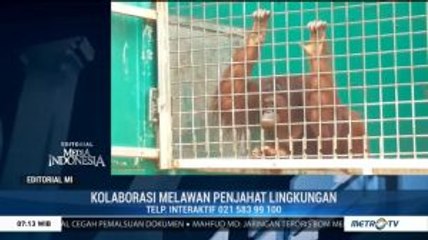 Kolaborasi Melawan Penjahat Lingkungan