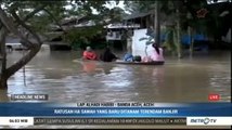 Ratusan Hektare Sawah di Aceh Tamiang Terendam Banjir