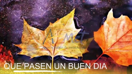 Conoce El Tiempo de Hoy Viernes 15 de Noviembre de 2019