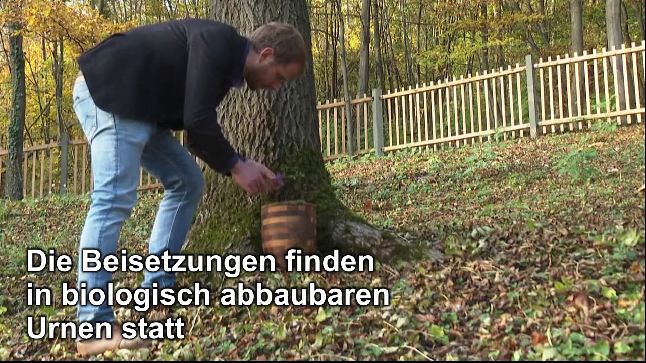 Naturbestattungen werden immer beliebter