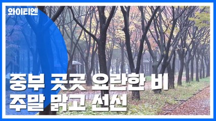 [날씨] 중부 요란한 비...주말 맑고 선선 / YTN