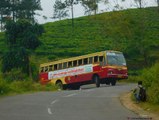 Single coin city service from KSRTC | Oneindia Malayalam