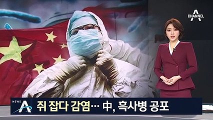 ‘공포의 흑사병’ 중국서 2명 확진…곳곳서 불안감 확산