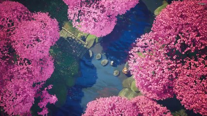 Vietsub Tiểu Hòa Thượng Nhất Thiền (28/10/2019)